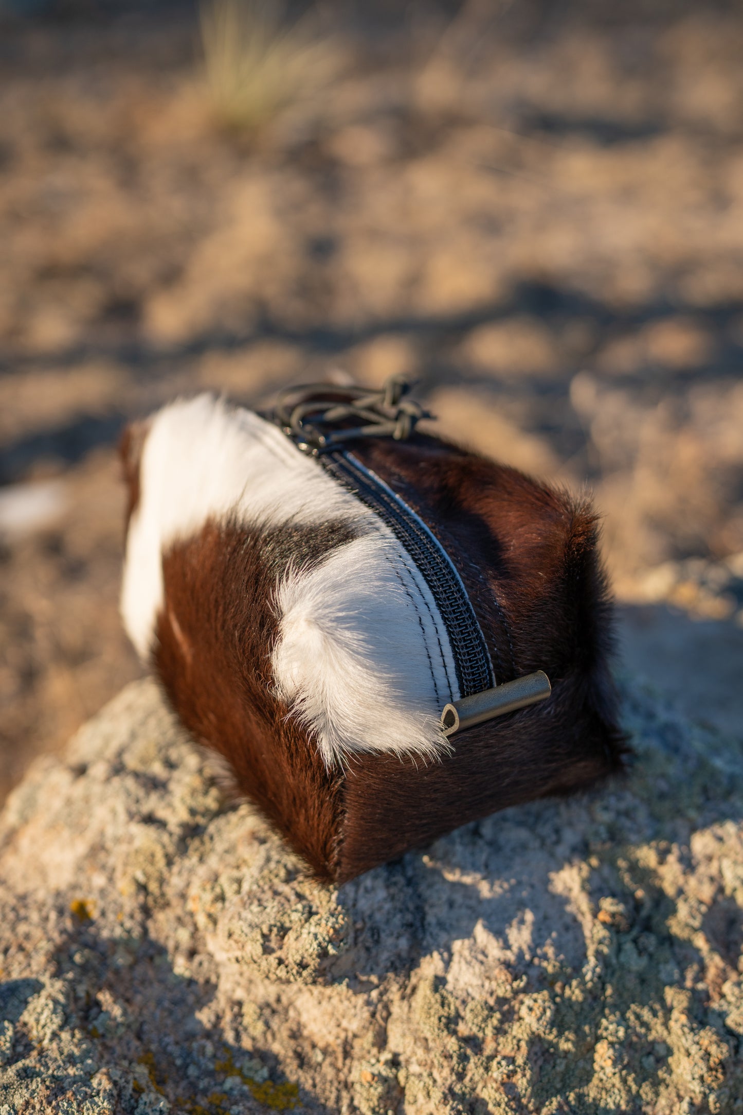 Dark Brown and White Hair on Hide with Black Details